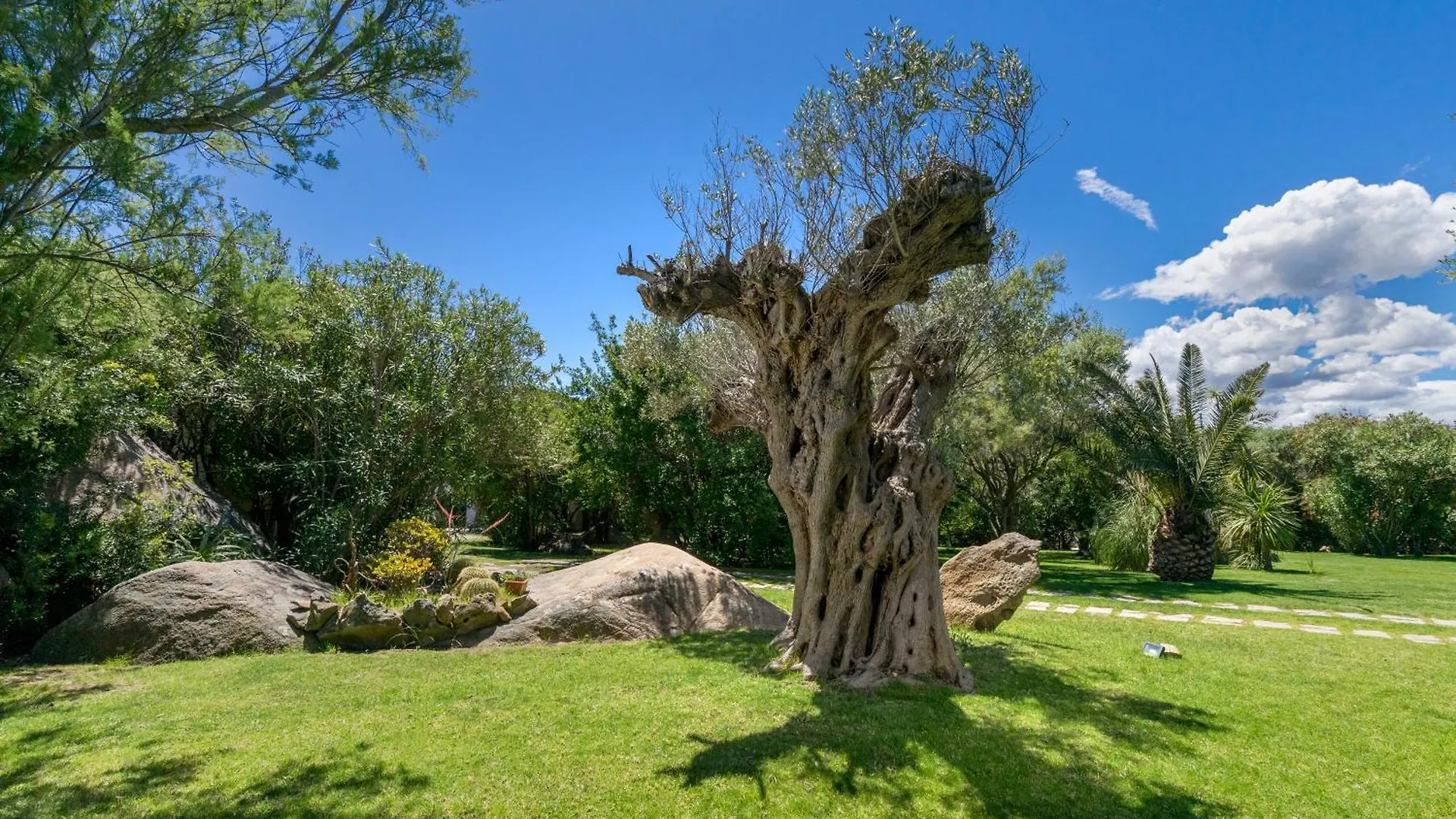 Villa Roccia Porto Rotondo